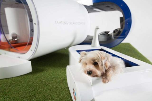 Samsung Drea Dog House - Mose Expensive